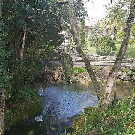 Acebos * Solorzano